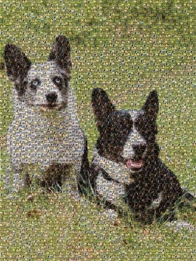 katarzynawieczorek 1 by katarzynawieczorek