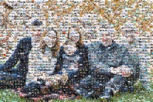 AngelJErin 3 by angeljerin