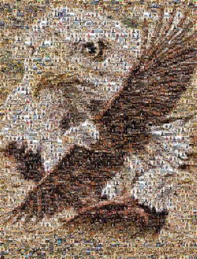 FCS Class of 2019 by tlawson1