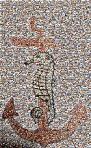 Elstar55  by elstar55