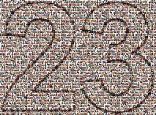 laricegall22089500 1 by laricegall22089500