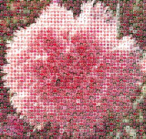 juliaimee 2 by juliaimee