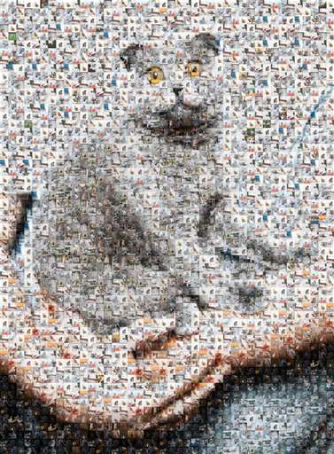 CatCat 3 by newheightsstudentministry