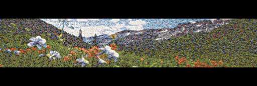 mmherbs 1 by mmherbs