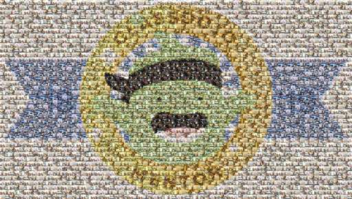 CaitClassDojo 1 by caitclassdojo