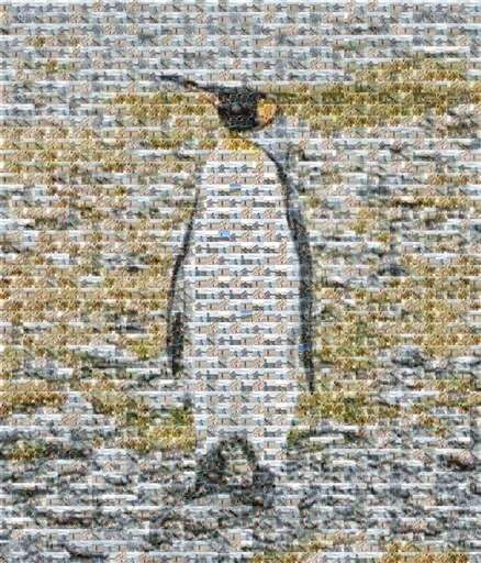 championofmath 1 by championofmath