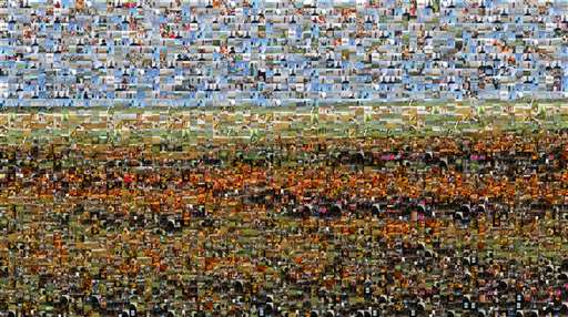 teddiedam 1 by teddiedam