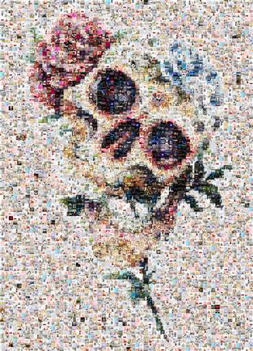 Ninjatimtam 2 by ninjatimtam