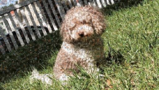 ericn2413 1 by ericn2413