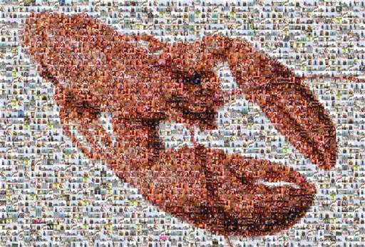 bella101 1 by bella101