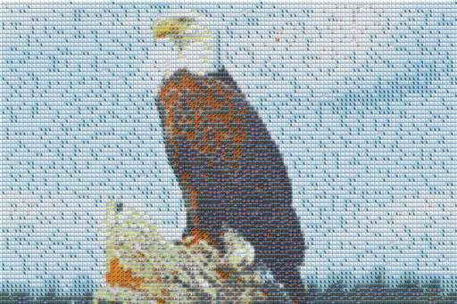 eagle  by camdenrosinski