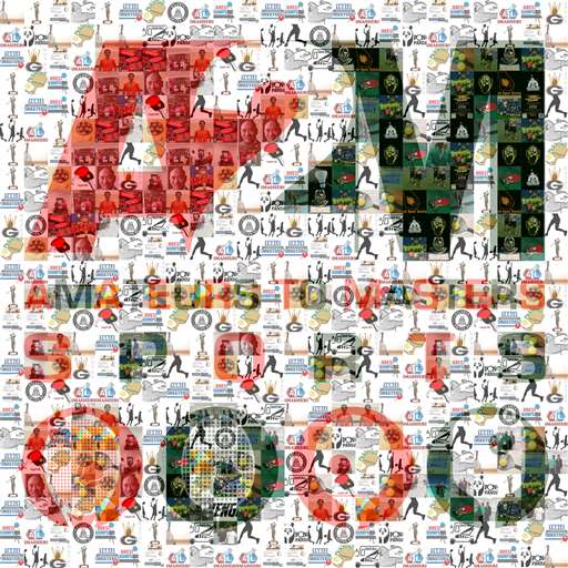 A2M Sports Mosaic by rajkamalk