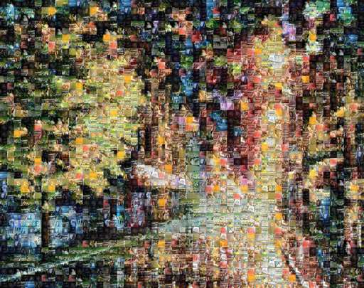 jariola 1 by jariola