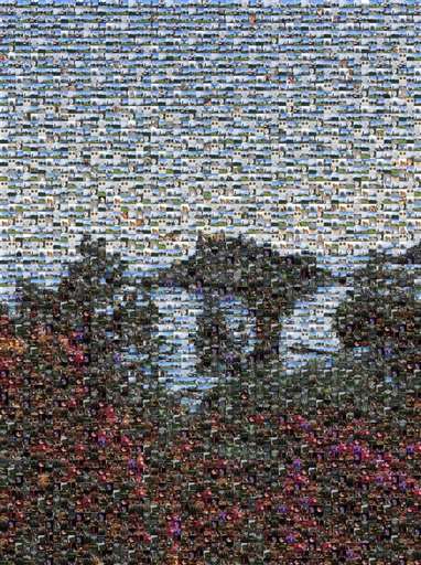 janezjkc 1 by janezjkc