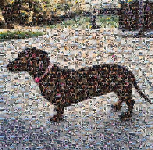 Bunbrida 1 by bunbrida