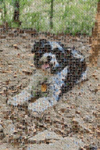 Lexie by sabrinakaplan13