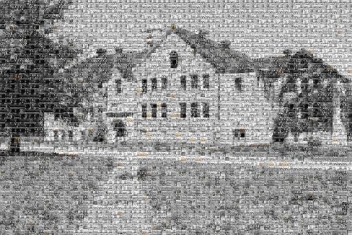 Kill the Indian, Save the Man 
 by 21aronol