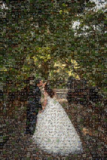 Family by quirkygrrrl