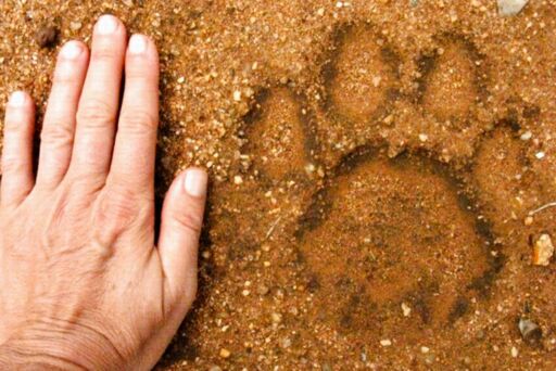 Untitled by impronta