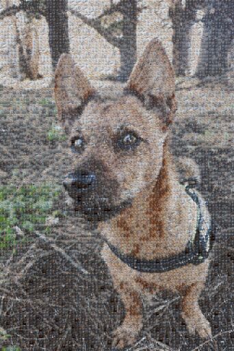 Untitled by purplebadgerino