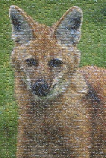 Untitled by marianavlopes