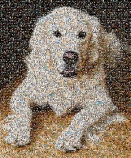 Temp by clareclarke83