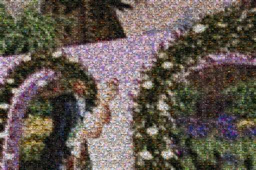 eliflex1♥ by tumsan