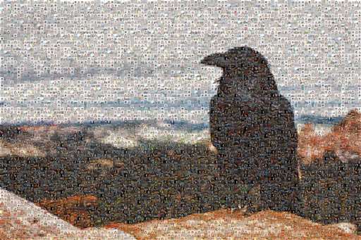 norringtonheidi 1 by norringtonheidi