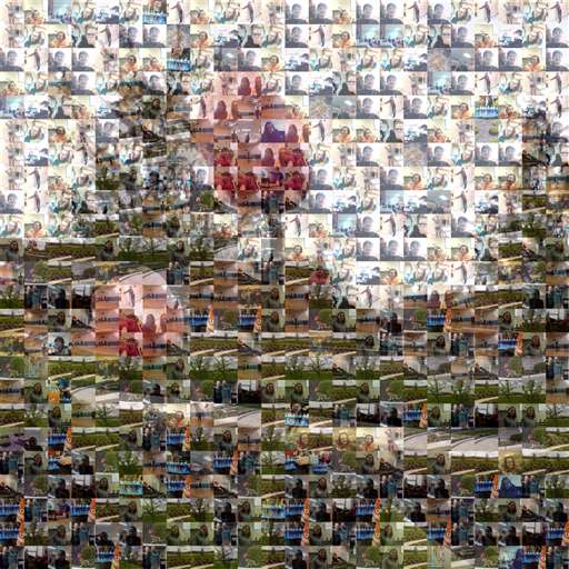 rose by lindseymccraine