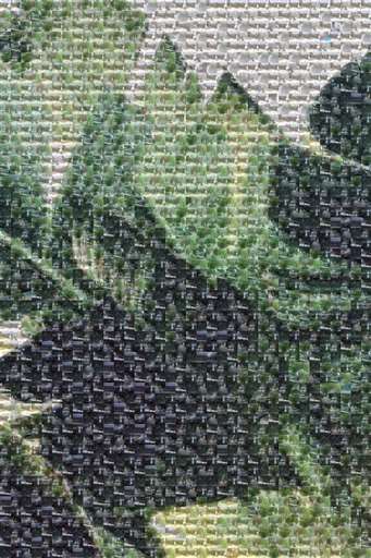 LEAF MOSAIC by kvcpascual123