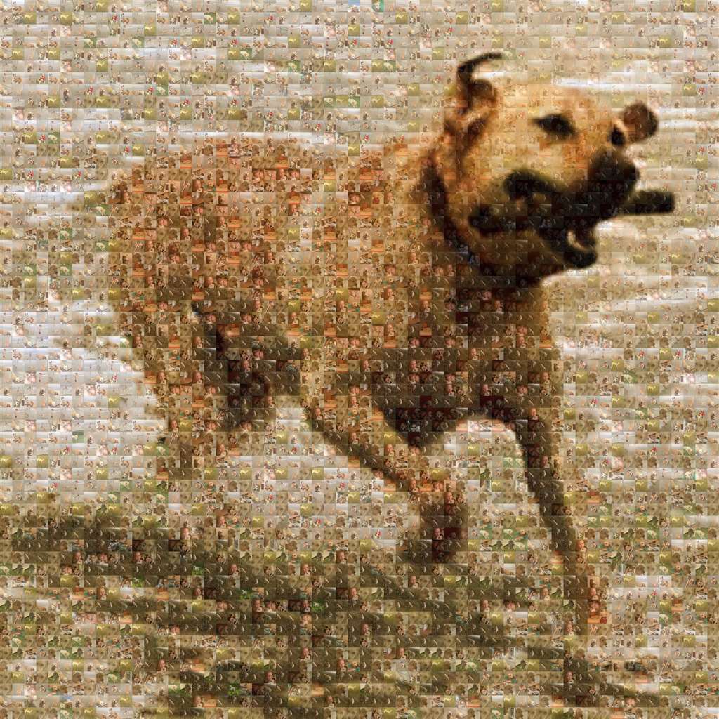 MosaicImg
