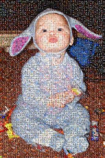 joeybear by joeysmom