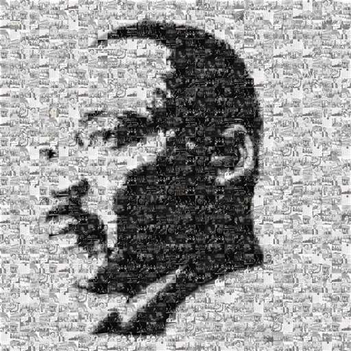 2023willemtalbert 14 by 2023willemtalbert