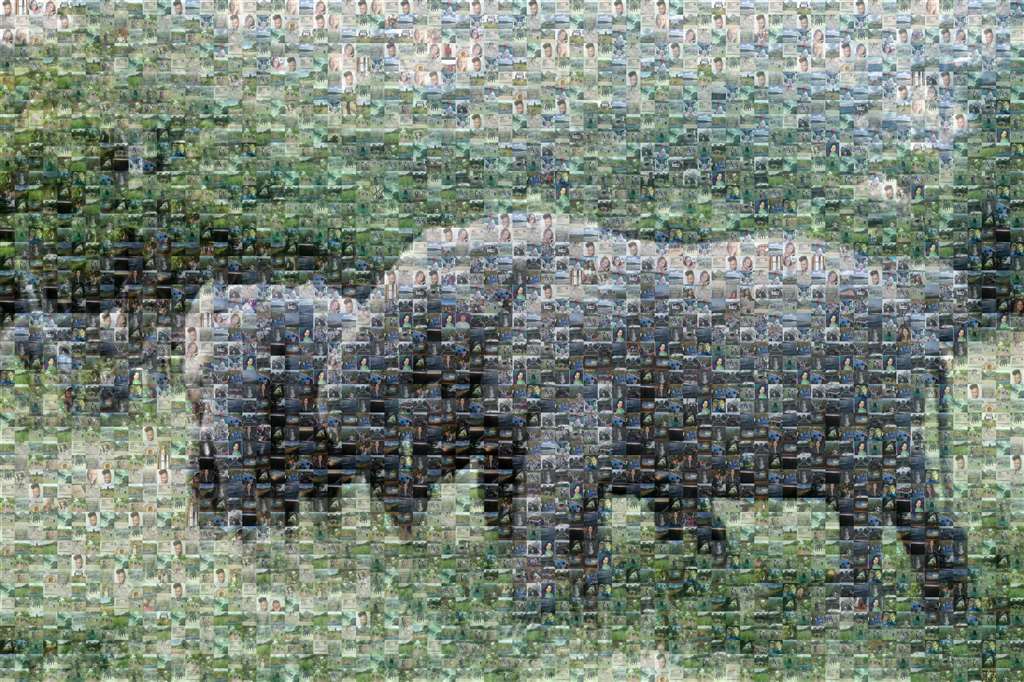 MosaicImg