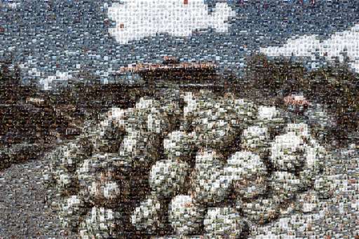 Loliloltasvu 1 by loliloltasvu