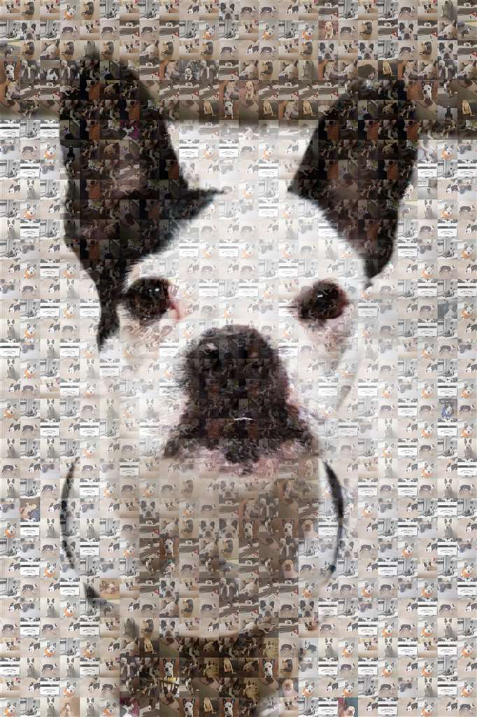 MosaicImg