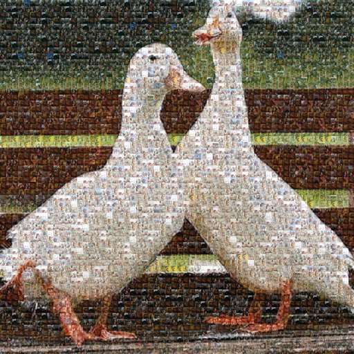 oriolabellanprat 2 by oriolabellanprat