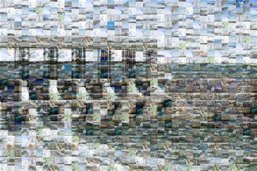 caelinw 5 by caelinw