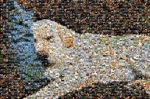 bayleynick02 3 by bayleynick02