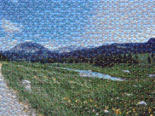 The Bigger Picture by gledford2