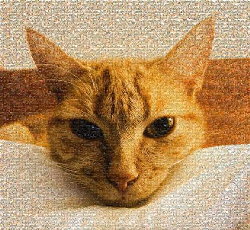 londongalx 2 by londongalx