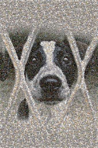 Detone25 1 by detone25