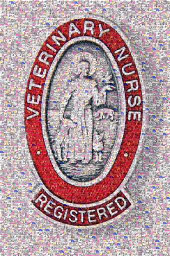 Latest A-Z by ammej85