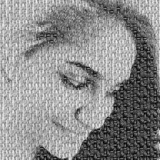 adarshxm 2 by adarshxm