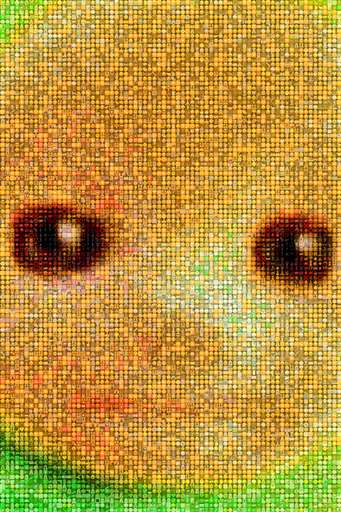 Confluxes 5 by confluxes