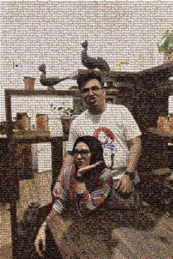 noverda 1 by noverda