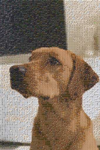 peterpollard 2 by peterpollard