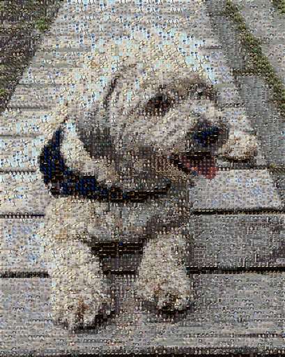 Saintethique 1 by saintethique