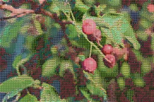 taliagarrison2016 1 by taliagarrison2016