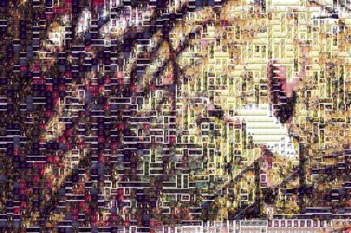 shillington81 1 by shillington81